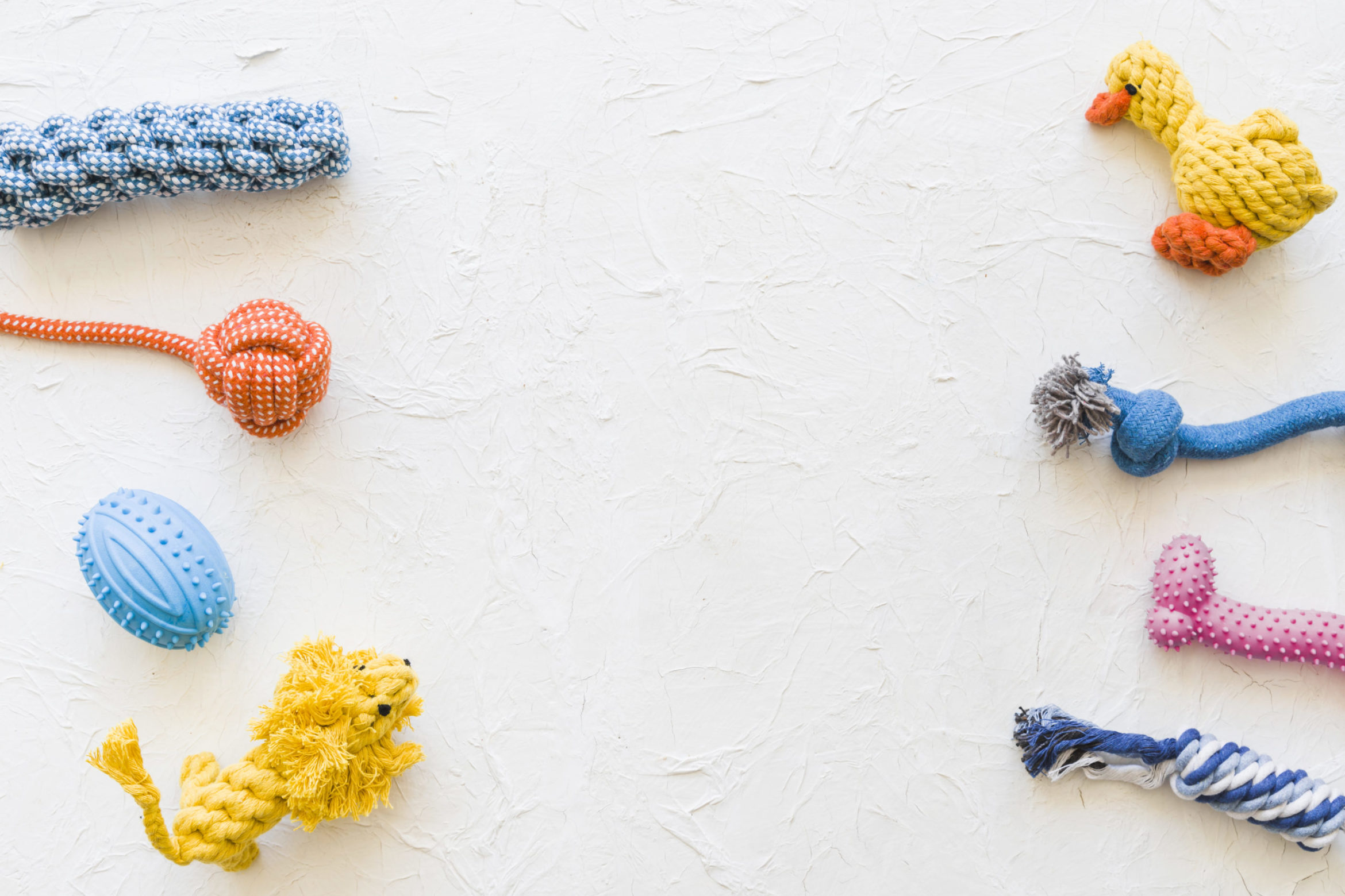 rows-pet-toys-scaled.jpg