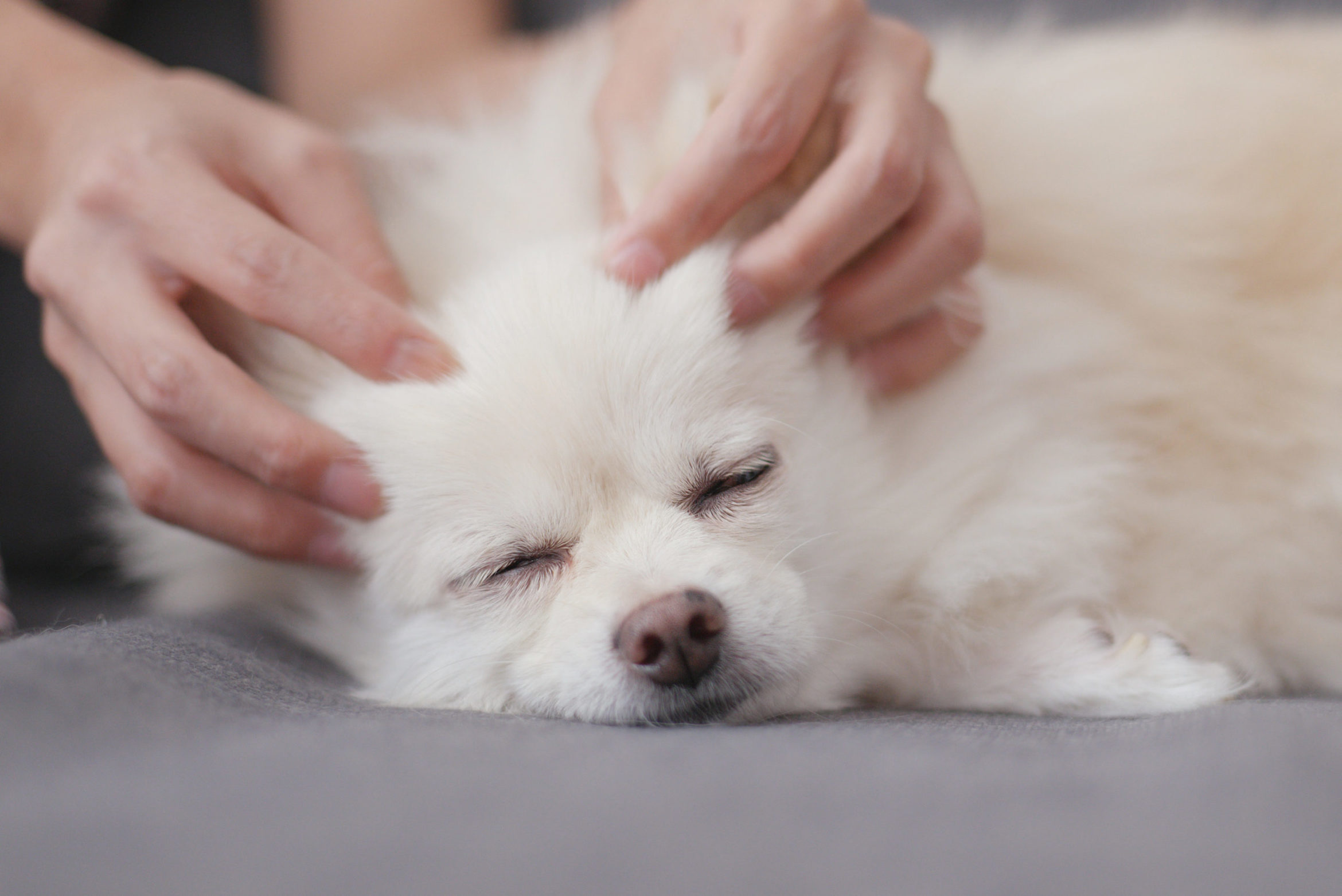 AdobeStock_184369885-scaled.jpeg