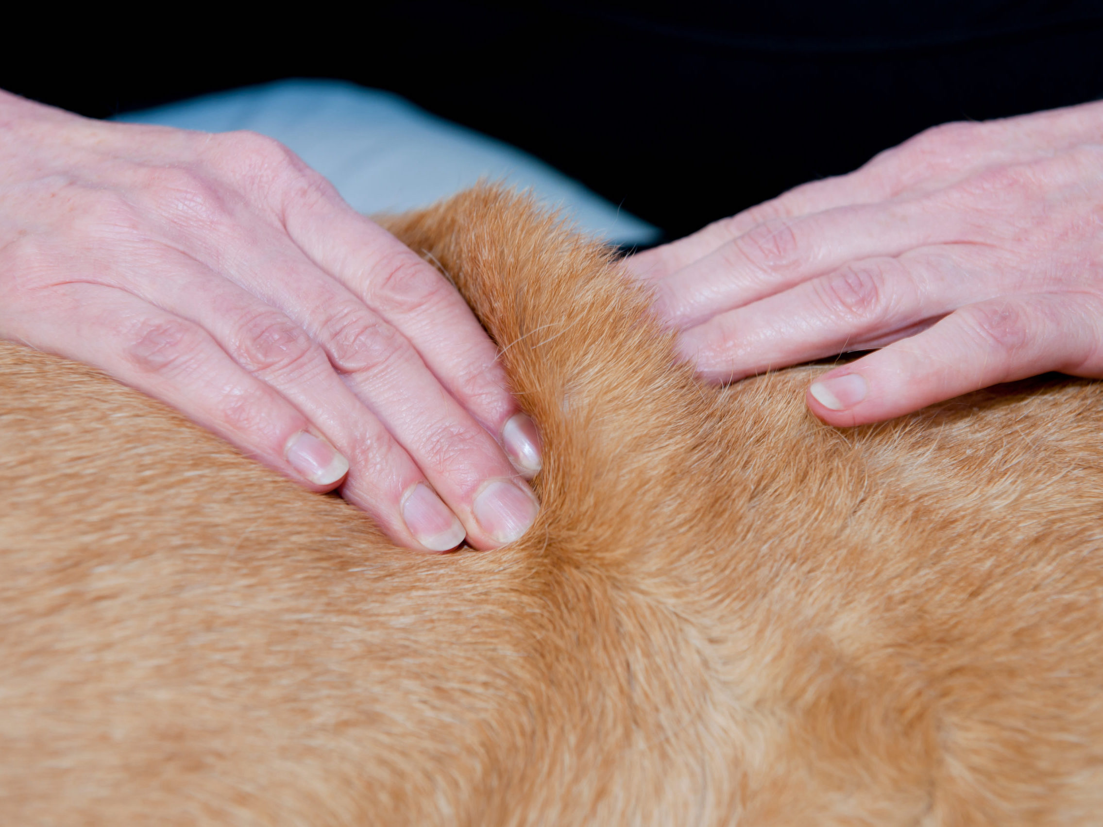 Massage_gros_plan.jpeg