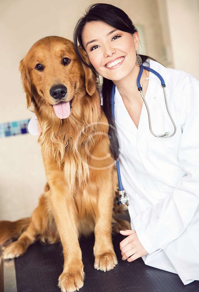 doctor-puppy.jpg