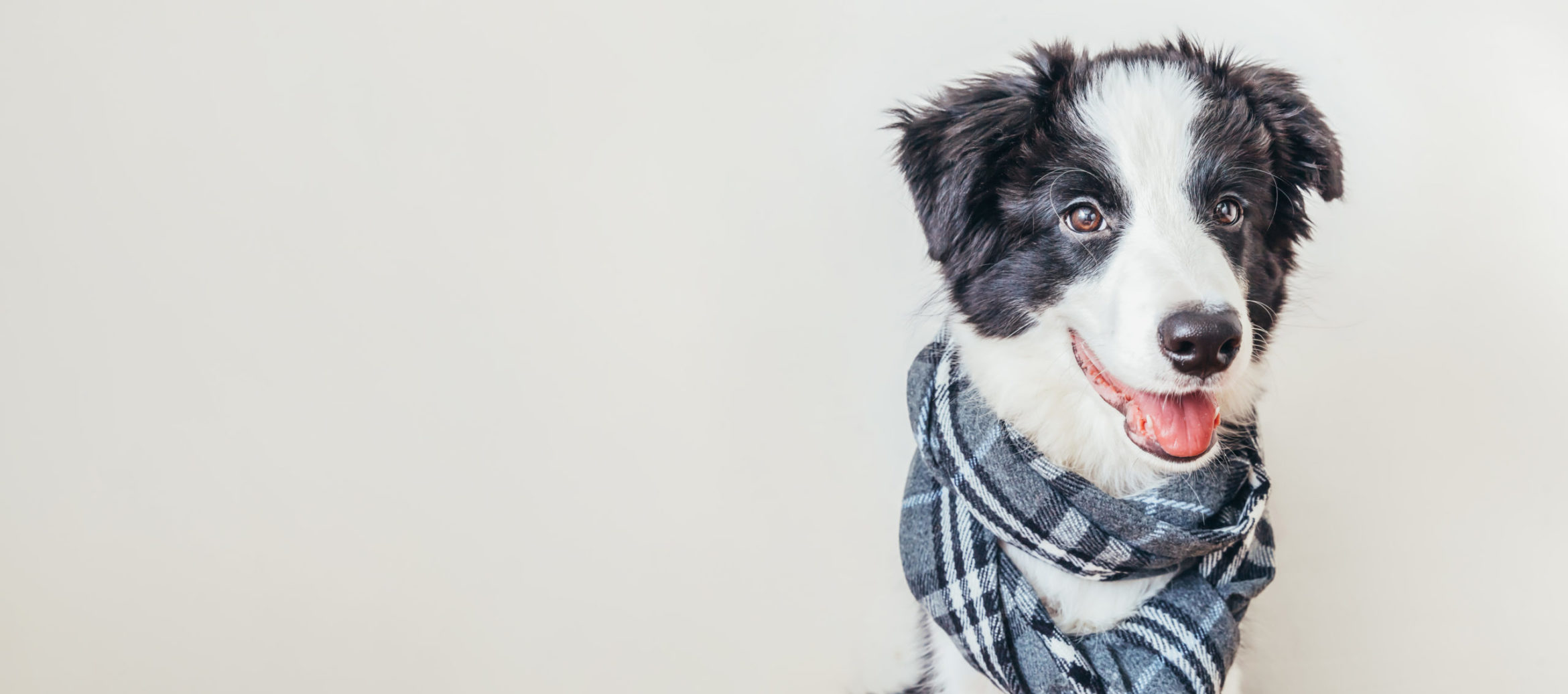 AdobeStock_360328183-scaled.jpeg