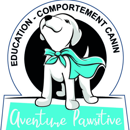 cropped-logo.jpg