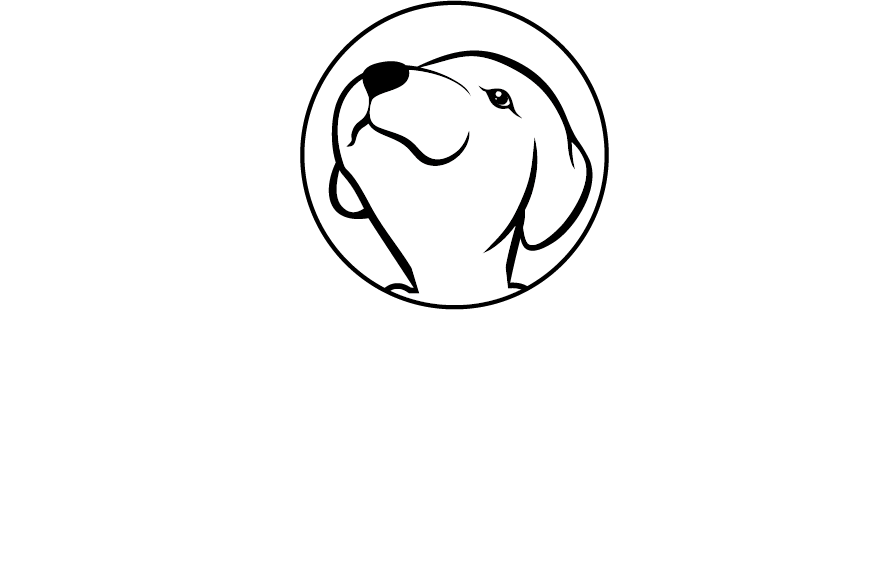 tête-blanc-aventure-pawsitive-1.png