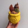 SodaPup - Pot de miel – Image 4