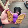 SodaPup - Papillon Nylon – Image 2
