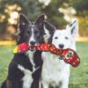 Outward Hound - Serpent rouge – Image 2