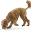 WestPaw - Rumbl – Image 3