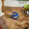 Chuckit! Ultra Squeaker Ball – Image 6