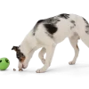 WestPaw - Rumbl – Image 7