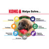 KONG Puppy – Image 4