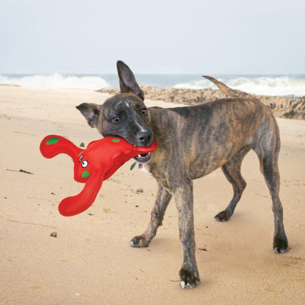 KONG Belly Flops – Image 3