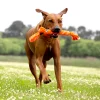 Rogz Scrubz – Image 3