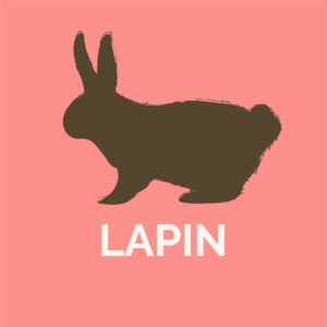 Lapin
