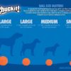 Chuckit!  Fetch Ball mix couleur (2 balles) – Image 6