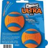 Chuckit! Ultra Ball pack de 2 – Image 7