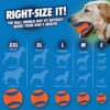 Chuckit! Ultra Ball pack de 2 – Image 5