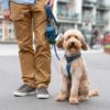 Dog Copenhagen - Laisse – Image 4