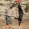 Katie's Bumpers - Sqwuggie Rope – Image 7