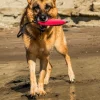 Katie's Bumpers - Sqwuggie Rope – Image 5