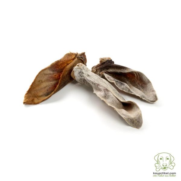 Kauartikel 🇩🇪 - Oreille de veau avec fourrure – Image 2