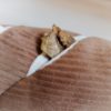 Lambwolf - Baguette – Image 4