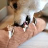Lambwolf - Baguette – Image 3