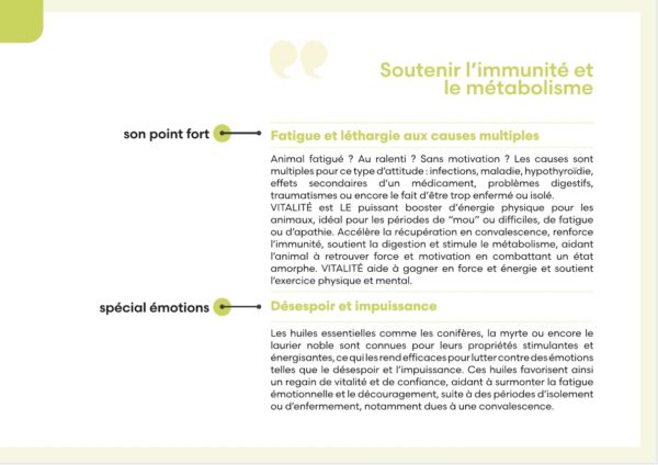 Flône🇨🇭 – Huile précieuse VITALITÉ – Image 3