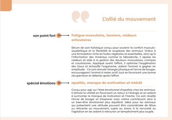 Flône🇨🇭 – Huile précieuse MOBILITÉ – Image 3