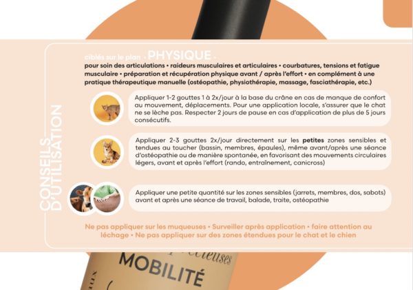 Flône🇨🇭 – Huile précieuse MOBILITÉ – Image 4