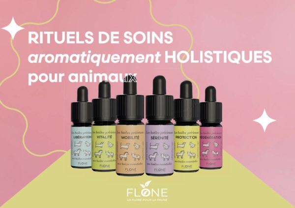 Flône🇨🇭 – Kit tout confort 6 sérums pour le prix de 5 !