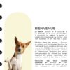 Flône🇨🇭 – Kit tout confort 6 sérums pour le prix de 5 ! – Image 2