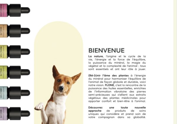 Flône🇨🇭 – Kit tout confort 6 sérums pour le prix de 5 ! – Image 2