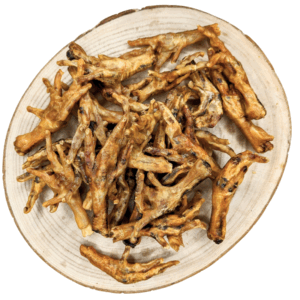 Canigourmand 🇫🇷 - Pattes de Poulet