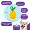 Planet Dog Dental Pineapple – Image 4