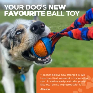 Remorqueur Pocket Powerball Bungee | Fetch Dog Toys | Tug-E-Nuff