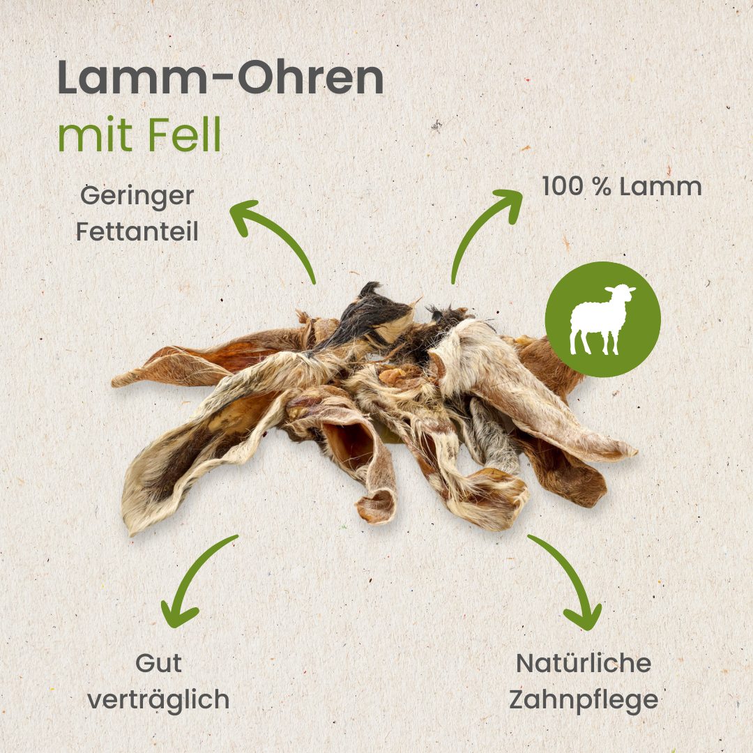 Kauartikel 🇩🇪 - Oreille de d'agneau avec fourrure – Image 4