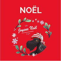 Noel