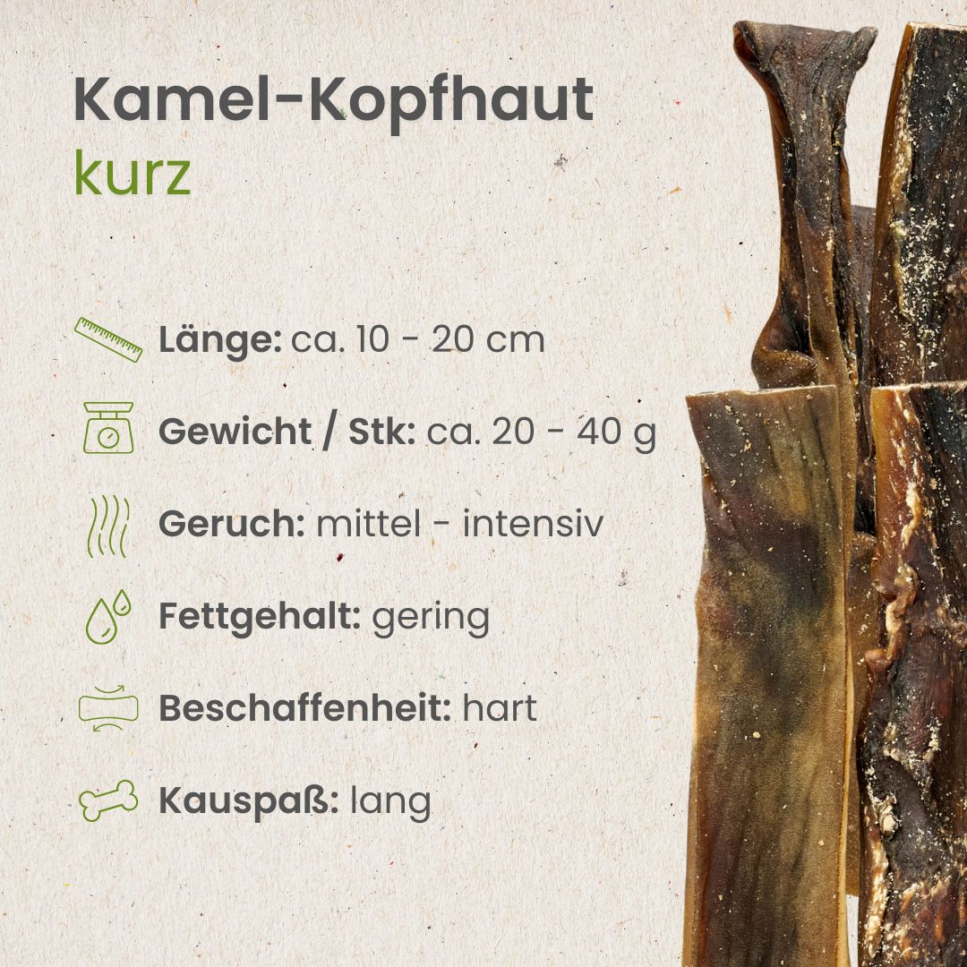 Kauartikel 🇩🇪 - Cuir chevelu de chameau – Image 2