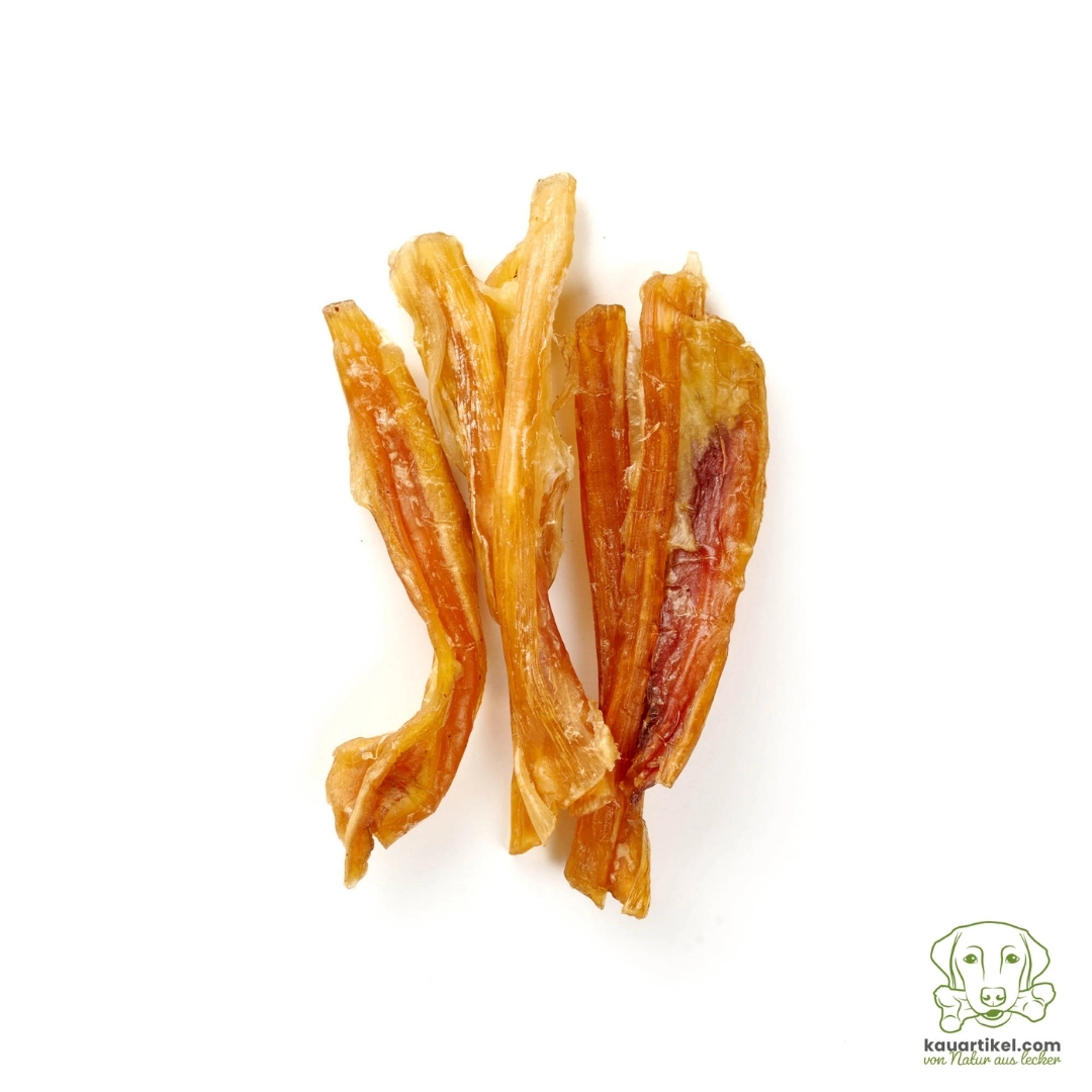 Kauartikel 🇩🇪 - Tendons d'Achille cheval