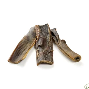 Kauartikel 🇩🇪 - Cuir chevelu de chameau