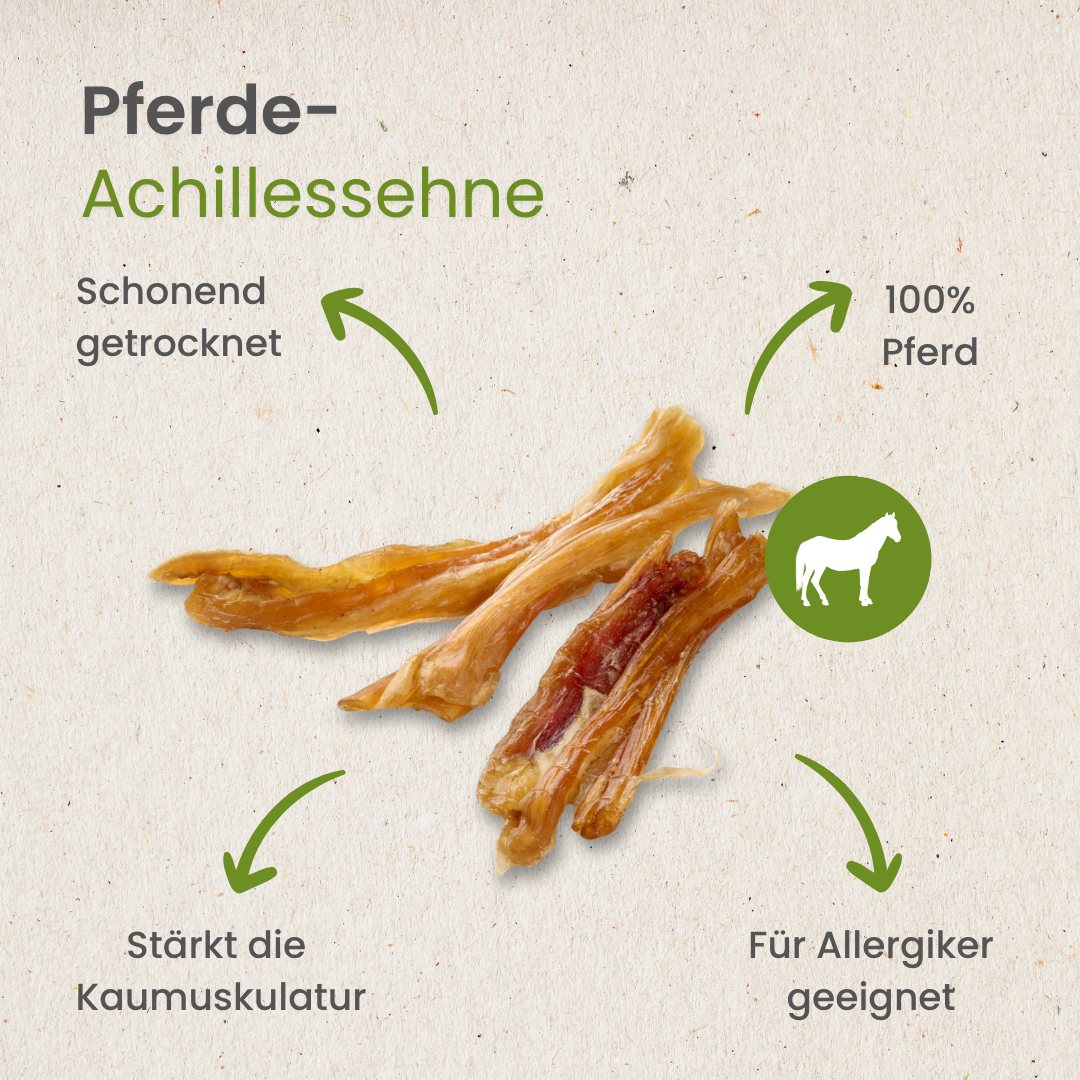Kauartikel 🇩🇪 - Tendons d'Achille cheval – Image 3