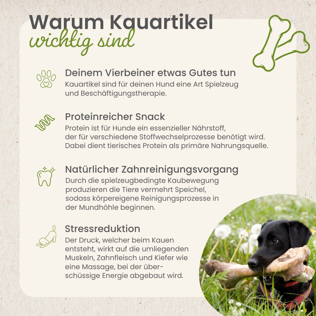 Kauartikel 🇩🇪 - Viande de kangourou – Image 4