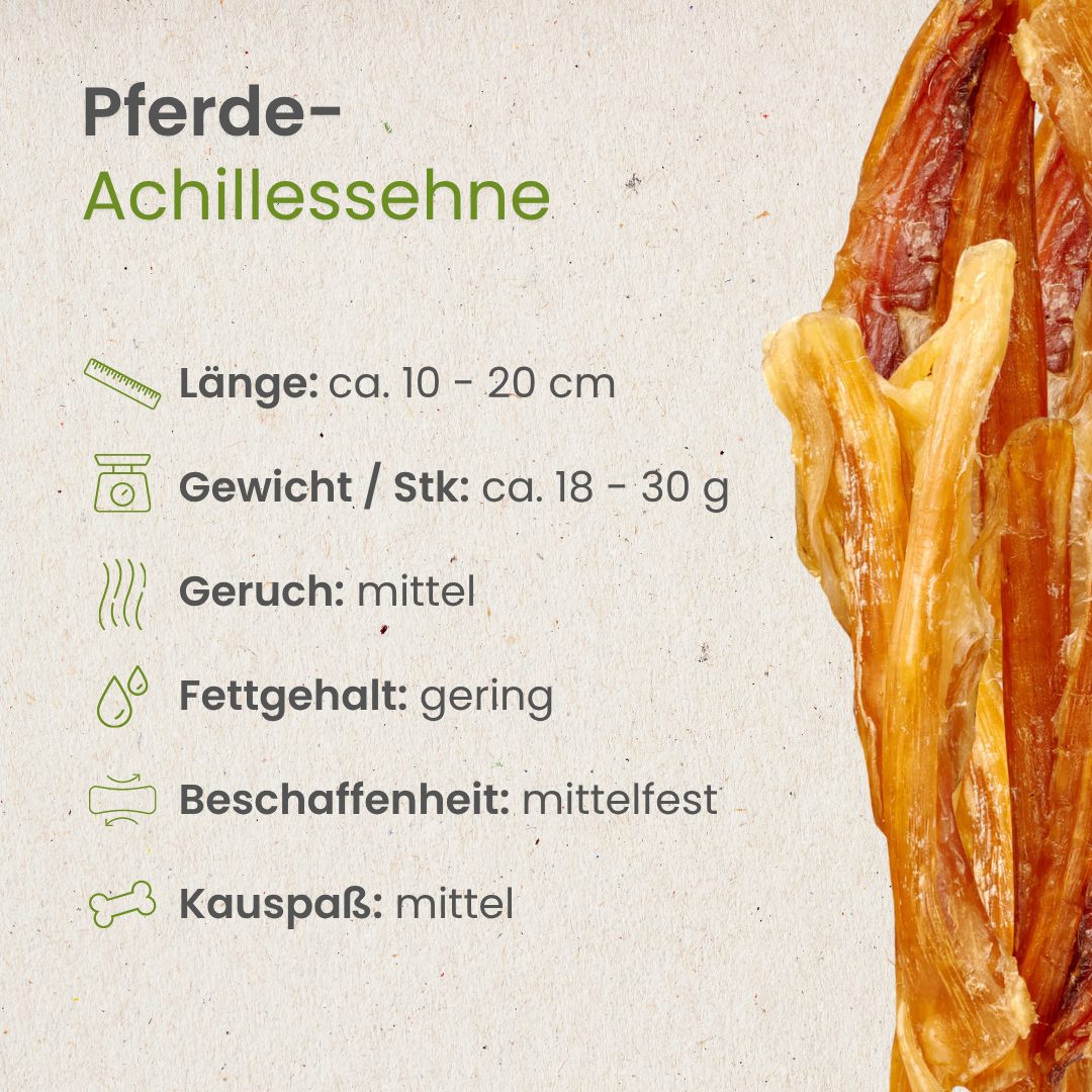 Kauartikel 🇩🇪 - Tendons d'Achille cheval – Image 4