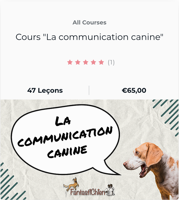 Cours “La communication canine” par FantastiChien