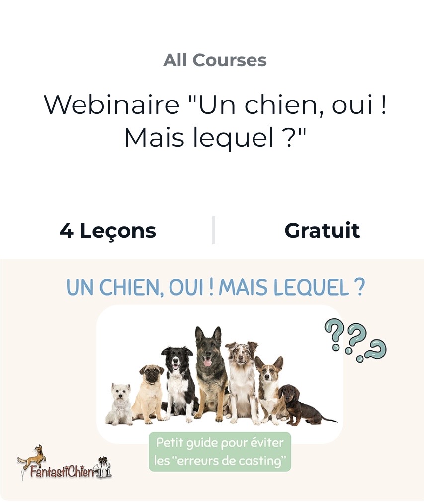 Webinaire "Un chien, oui ! Mais lequel ?" par FantastiChien