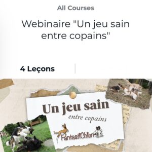 Webinaire "Un jeu sain entre copains" par FantastiChien