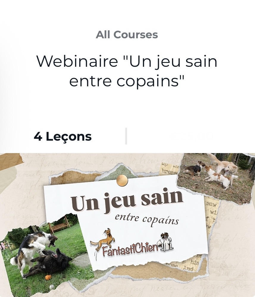Webinaire "Un jeu sain entre copains" par FantastiChien