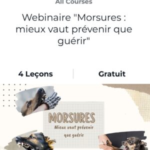 Webinaire "Morsures : mieux vaut prévenir que guérir" par FantastiChien