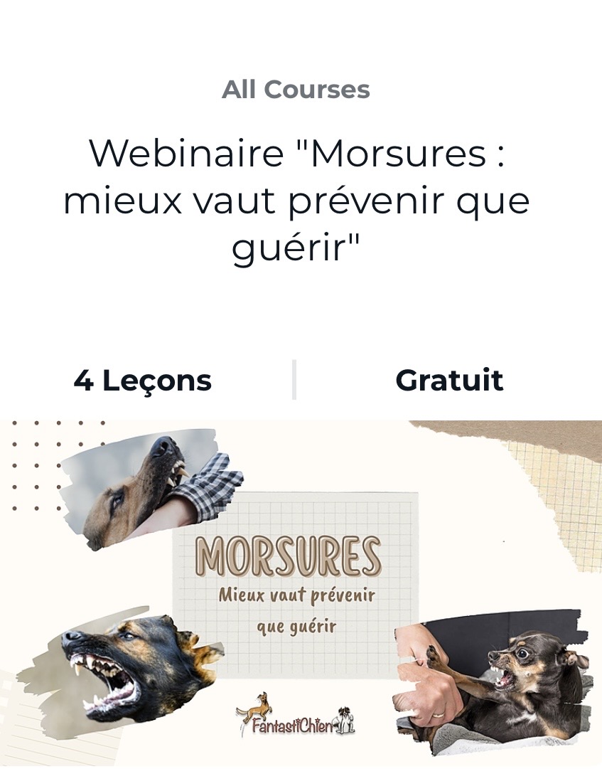 Webinaire "Morsures : mieux vaut prévenir que guérir" par FantastiChien