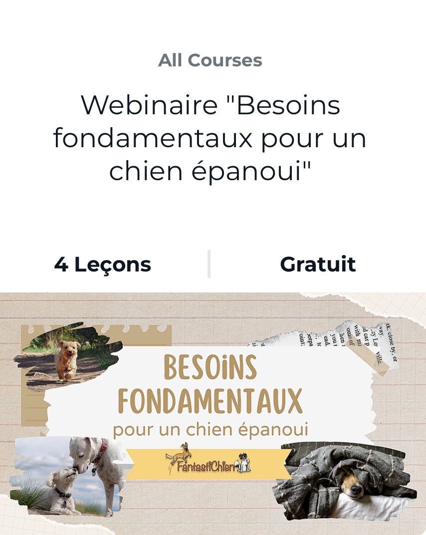 Webinaire "Besoins fondamentaux pour un chien épanoui" par FantastiChien